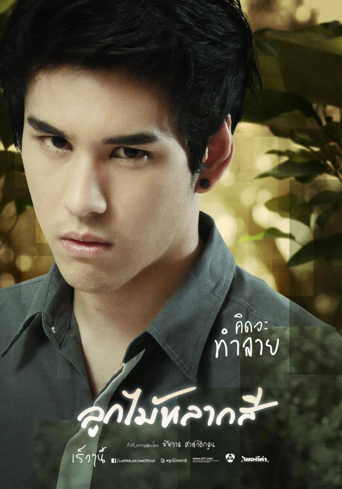 ดาราหนุ่มหล่อจากละคร ลูกไม้หลากสี
