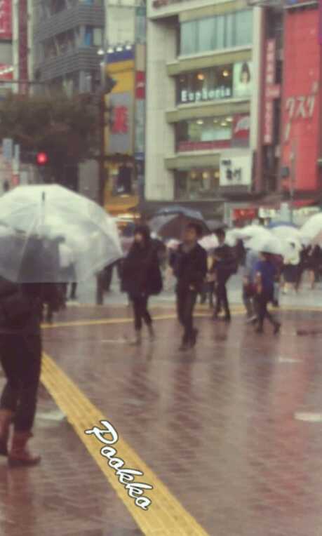 At love in Japan2