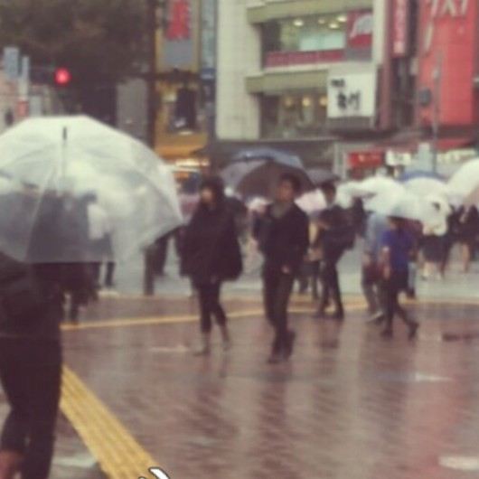 At love in Japan2