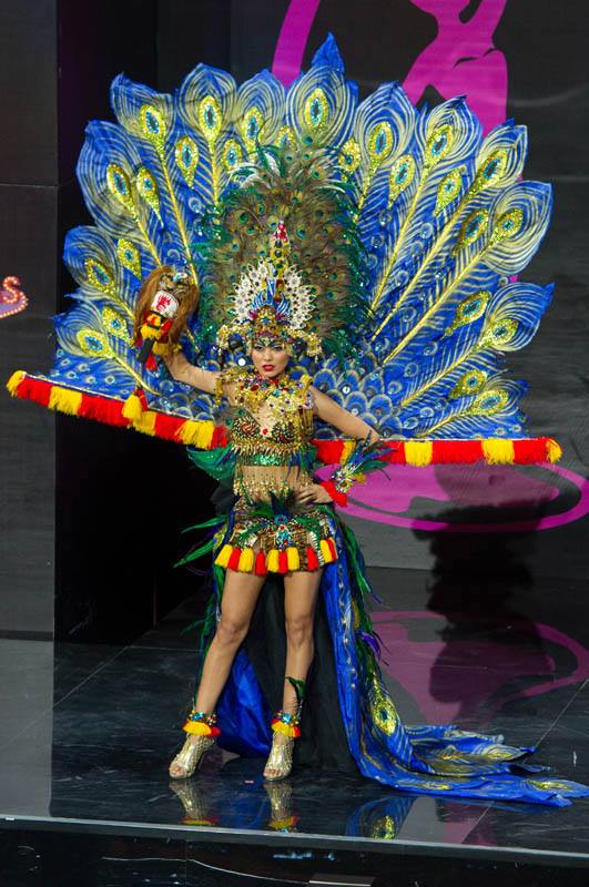 Road to Moscow - MU2013 - National Costume