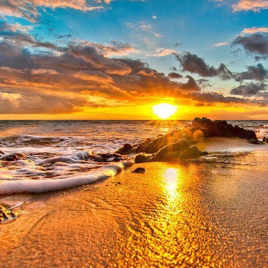 Colorful Nature