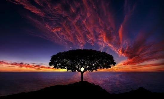 Colorful Nature