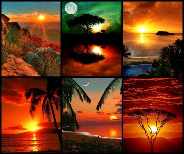 Colorful Nature