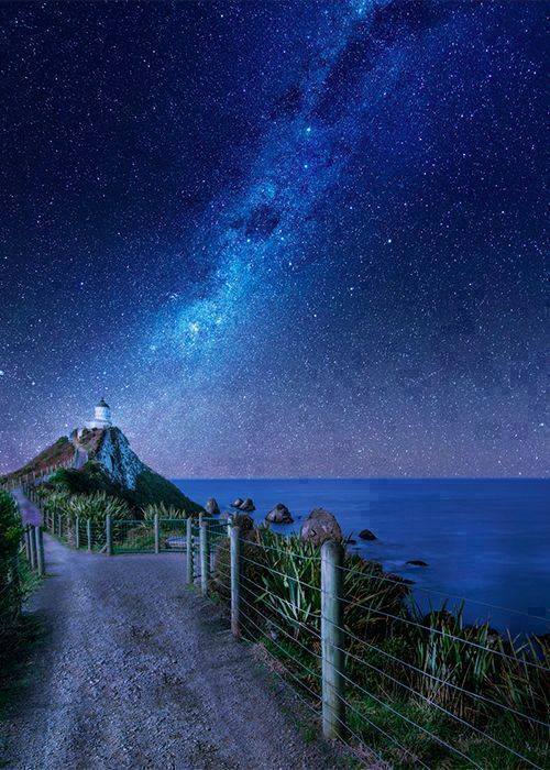 Colorful Nature