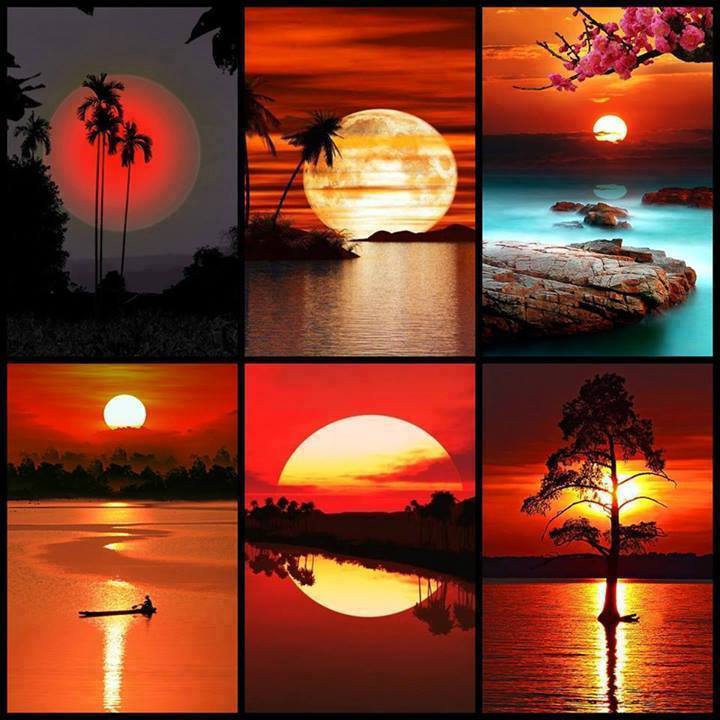 Colorful Nature