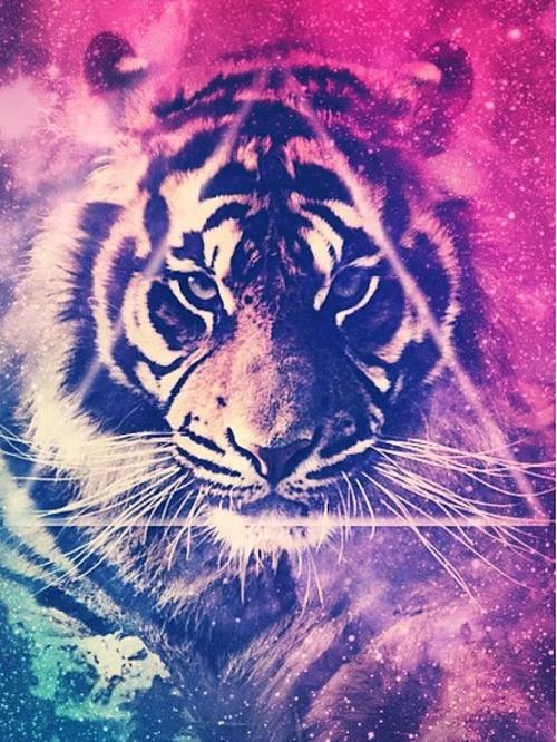 Colorful Nature