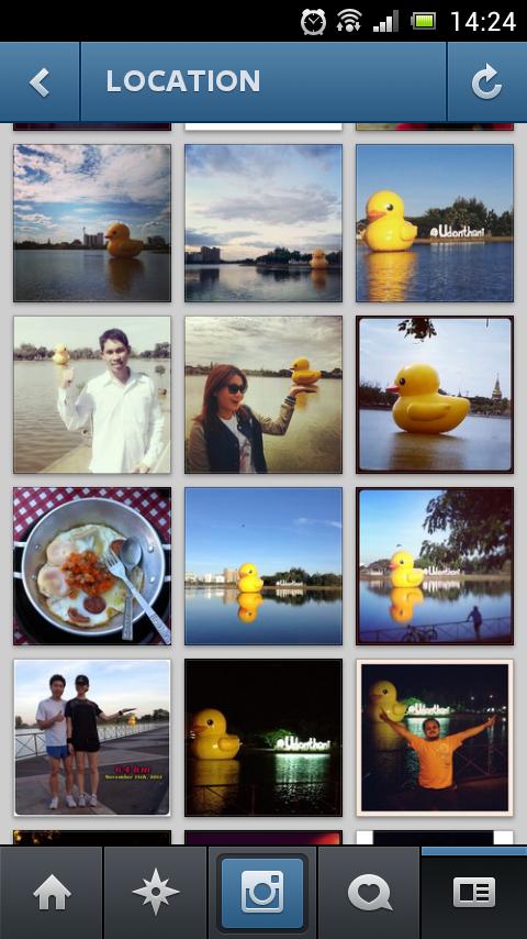 เป็ดน้อยที่หนองประจักษ์ จ.อุดรธานี