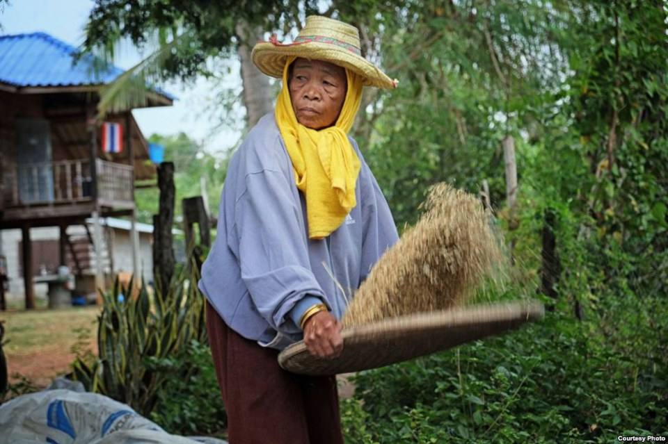 ภาพจากทั่วโลกในปี2013(3)