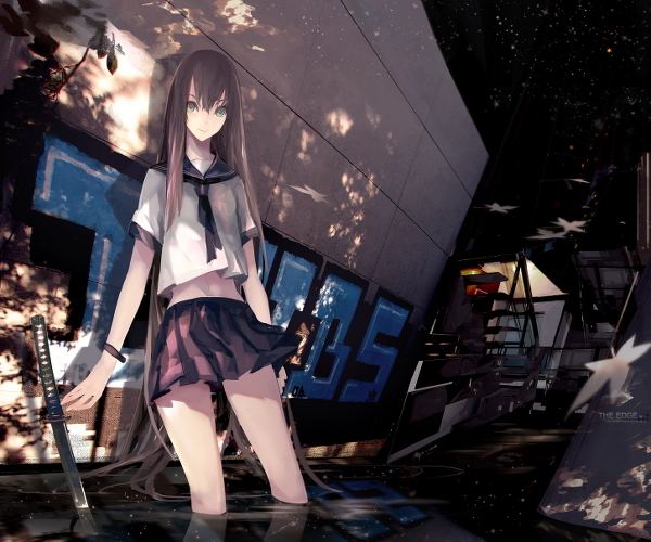 สาวกการ์ตูน 13