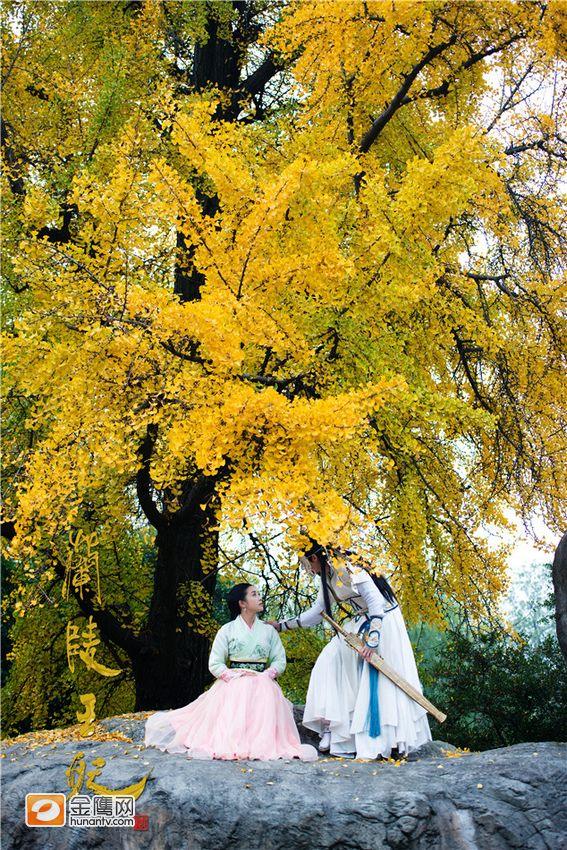 องค์หญิงหลันหลิง Princess Lan Ling 《兰陵王妃》2013-2014 part14