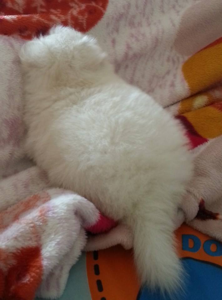 จิมมี่ น่ารัก