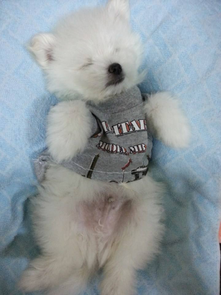 จิมมี่ น่ารัก