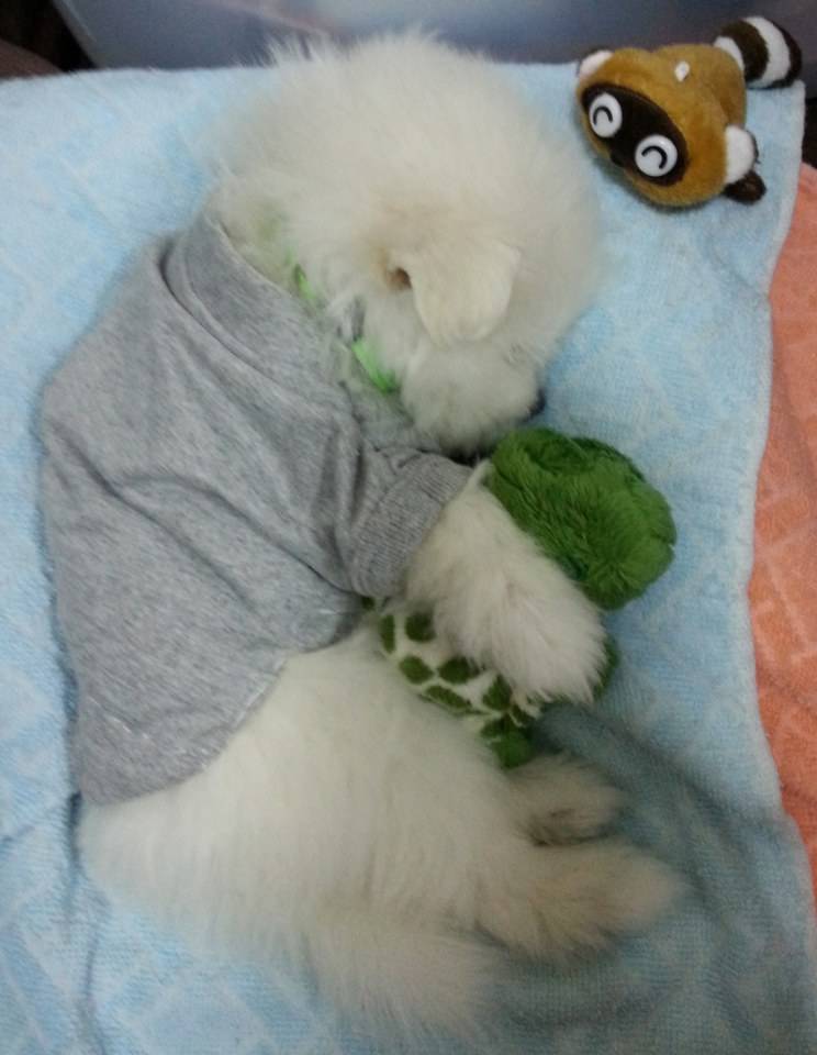 จิมมี่ น่ารัก