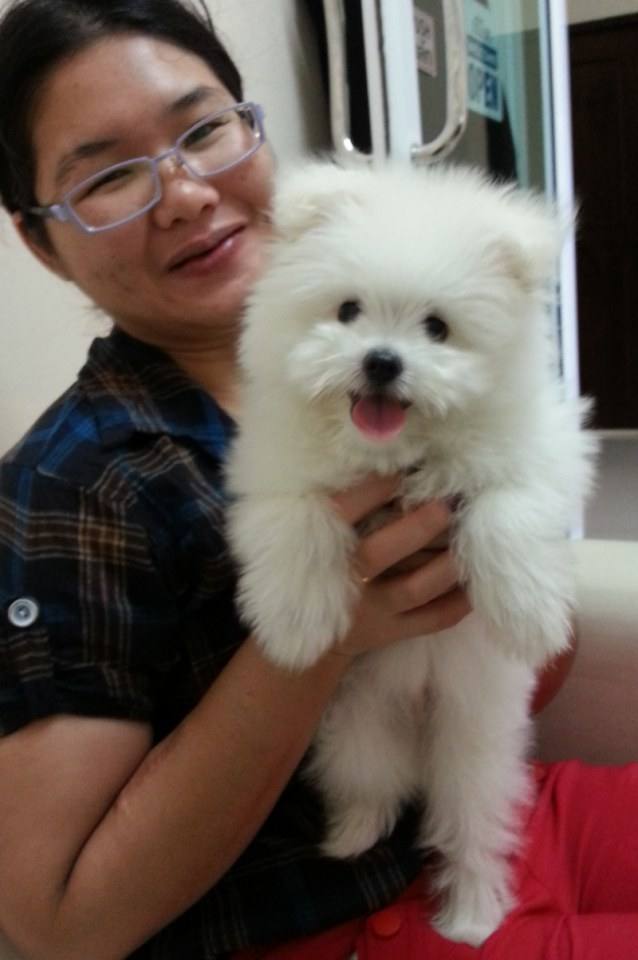 จิมมี่ น่ารัก