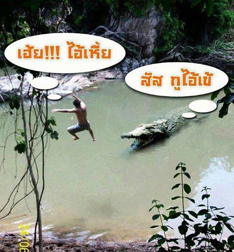 เฉียบพ่ายเลี๊ยวววว