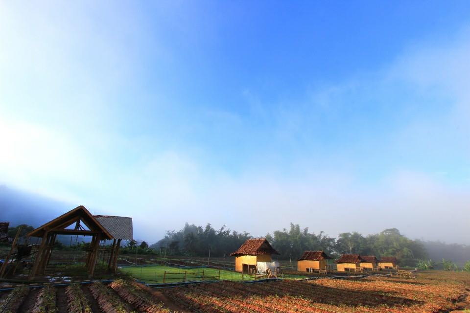 สตรอเบอรี่ @ Samoeng Chiang Mai