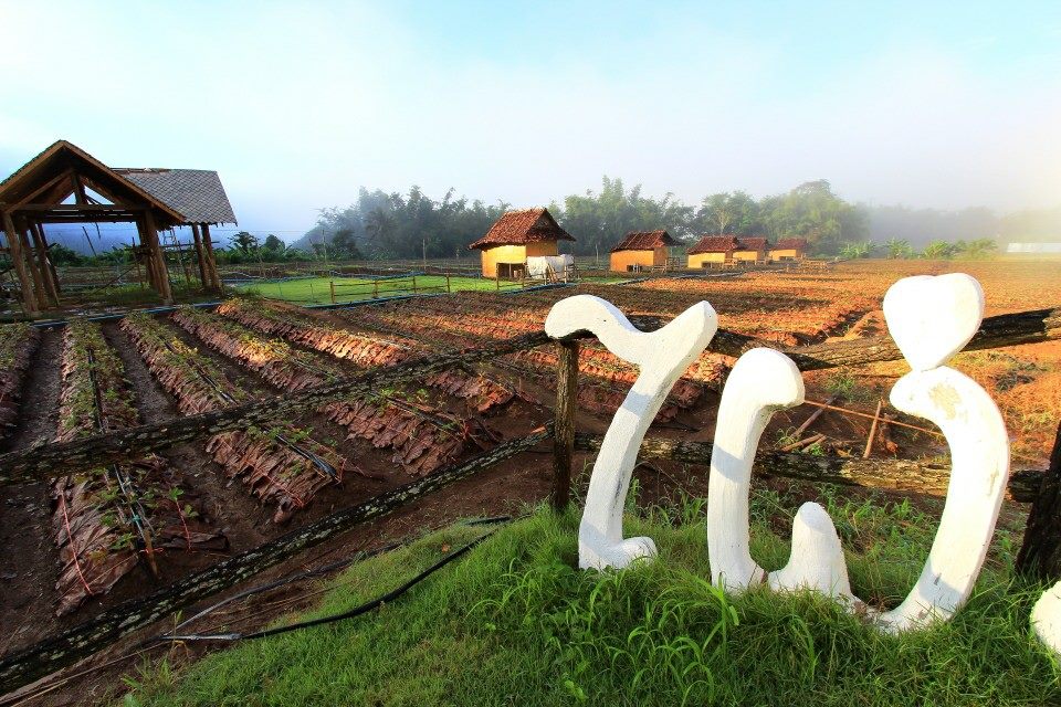 สตรอเบอรี่ @ Samoeng Chiang Mai