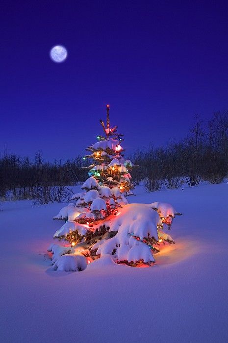 .+*Welcome To The Month Of December *+.{3}