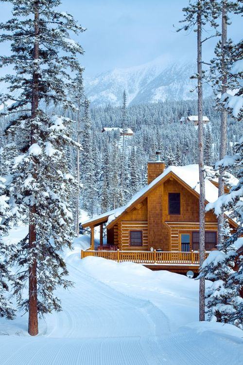 .+*Welcome To The Month Of December *+.{3}