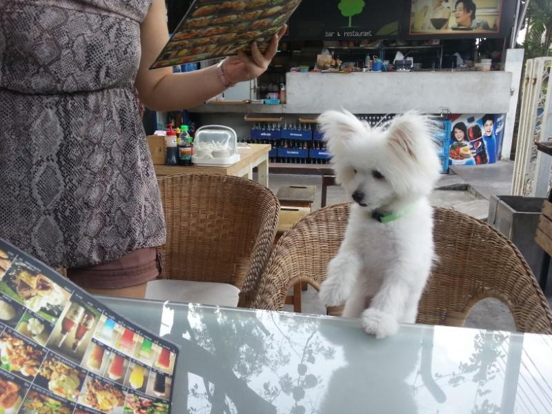 ขับรถไปกินข้าวกันครับ