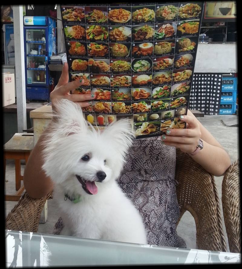 ขับรถไปกินข้าวกันครับ