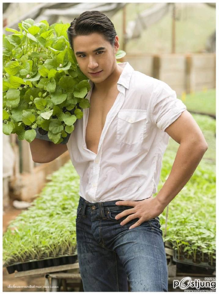 นิว ชัยพล @ LIPS vol.15 no.9 November 2013