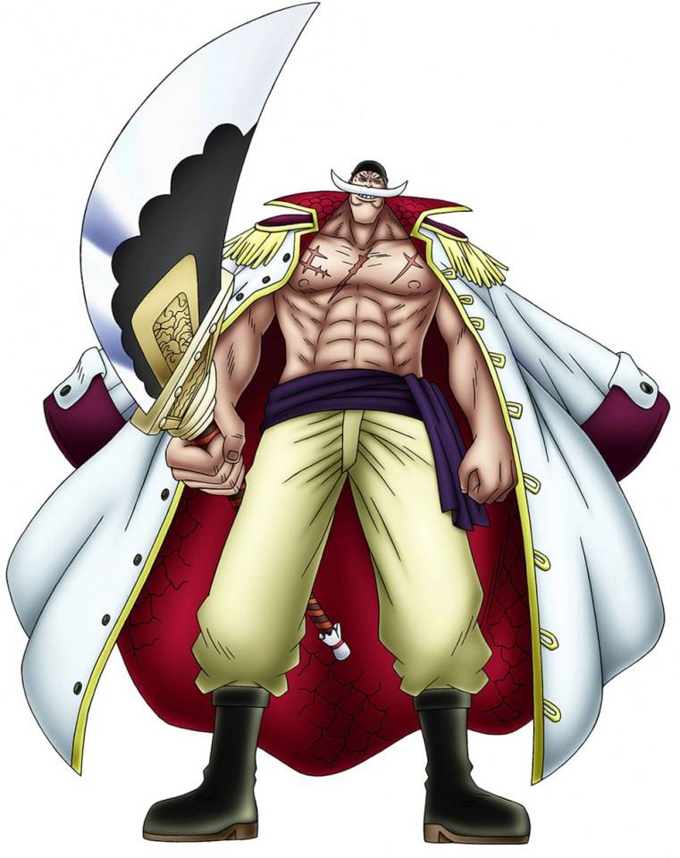 One Piece : Romance Dawn (3DS)