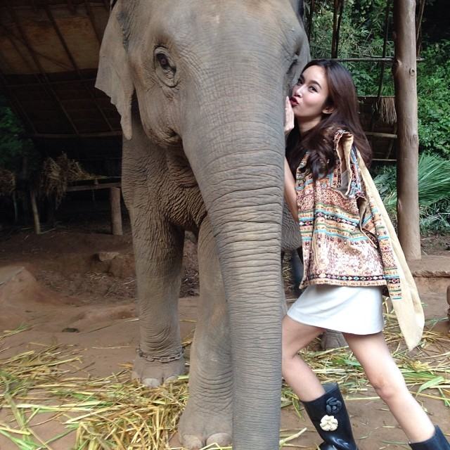 ปอย ตรีชฏา