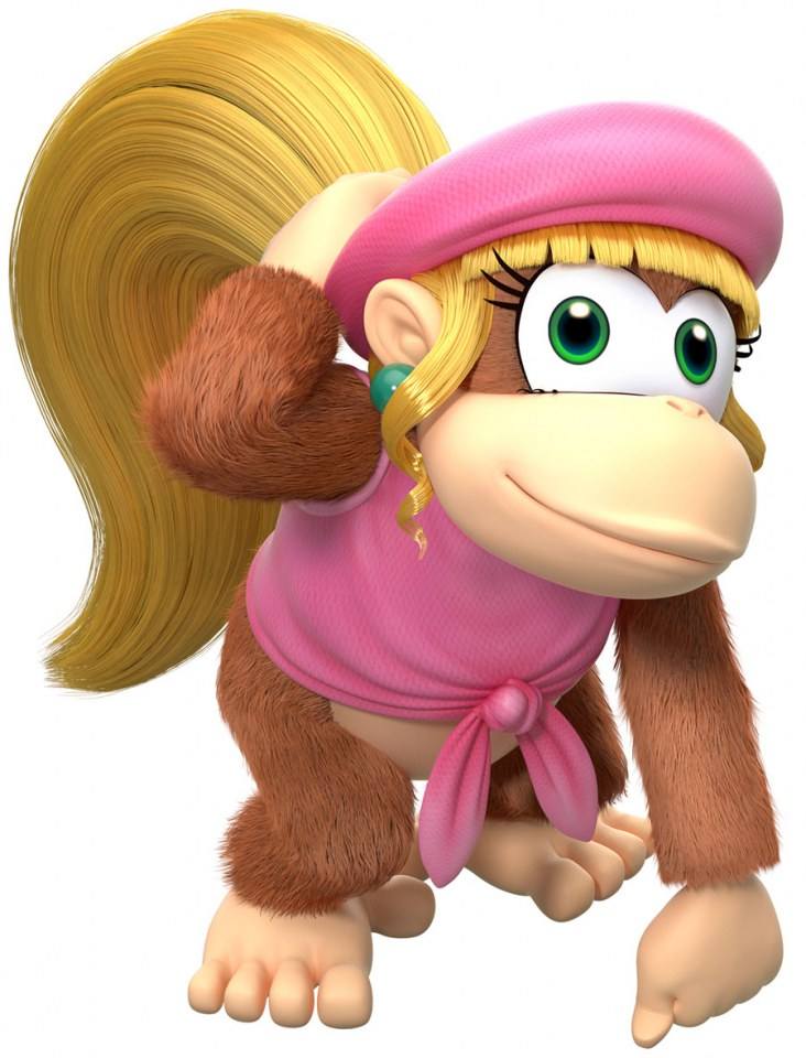 Donkey Kong Country : Tropical Freeze (Wii U)
