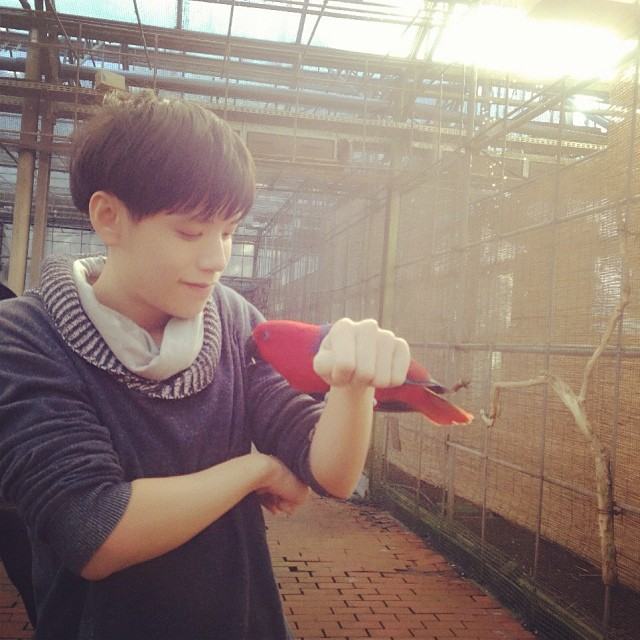 คชา AF8 (IG)
