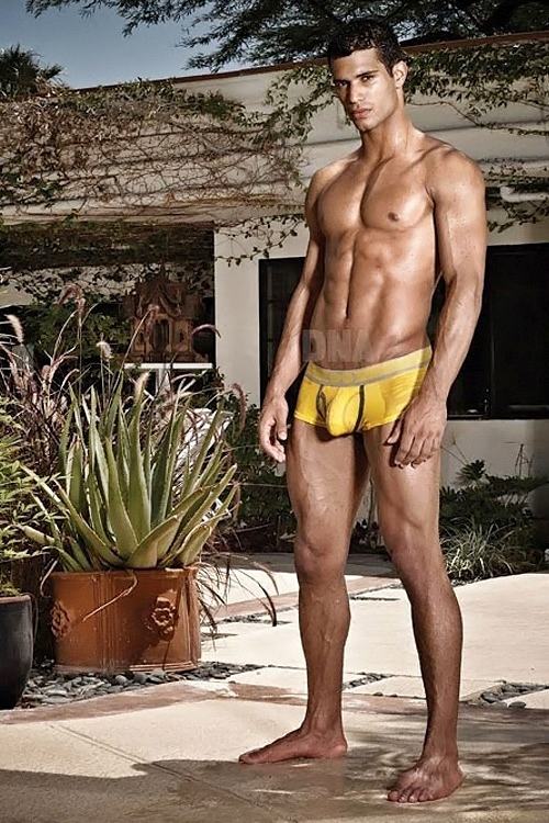 zeus men 96