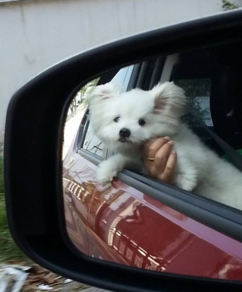 Let's go to the park