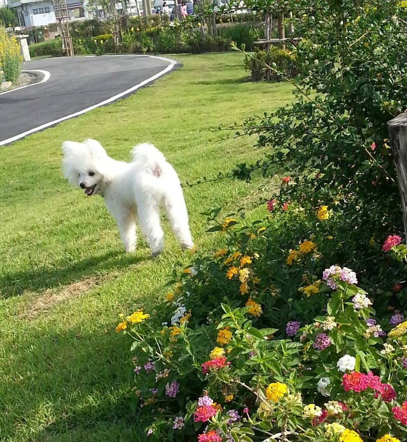 Let's go to the park