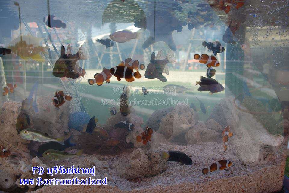 บรรยากาศงานวันเด็กเมืองบุรีรัมย์