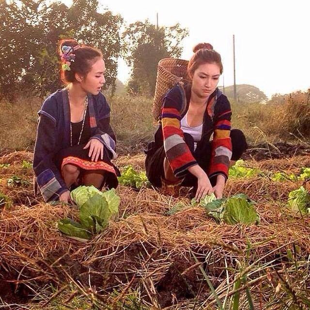 คืนนี้ได้ดู อาโป พรมแดนหัวใจ
