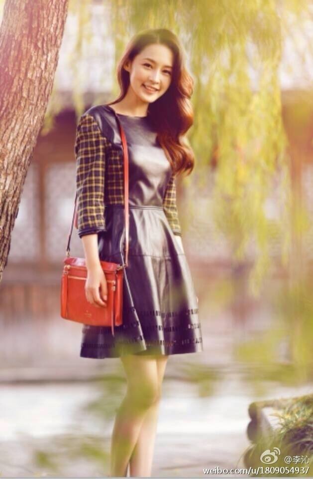 หลี่ชิ่น Li Qin 李沁