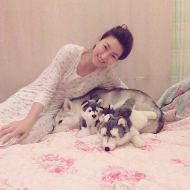 แพนเค้กย้ำ ตอนเกิดเรื่อง สวีทอยู่กับหมวดหมี จนลืมดูสุนัข ทำให้มันวิ่งเข้าไปจะขย้ำคนข้างบ้าน