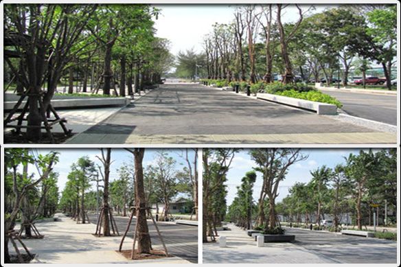 ลำดับที่ 31 มหาวิทยาลัยมหิด   (ปี2012 ลำดับที่ 36)