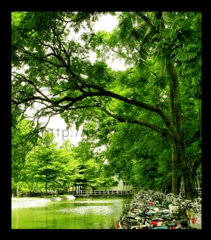 ลำดับที่ 56 มหาวิทยาลัยเกษตรศาสตร์    (ปี2012 ลำดับที่ 44