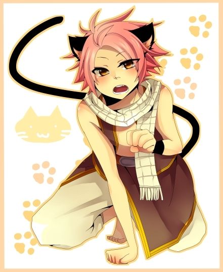 natsu dragneel นัตสึ แฟรี่เทล 1