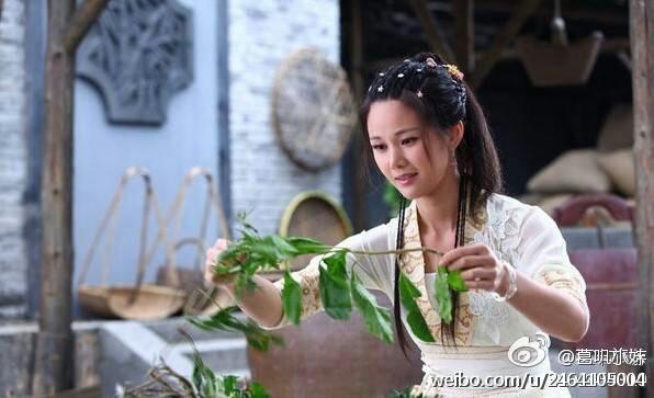 The Story Of A Woodcutter And His Fox Wife《刘海砍樵》2013 part2