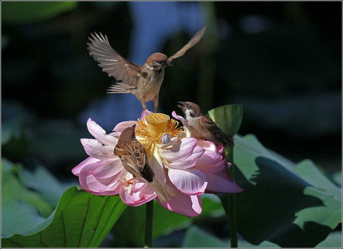 Fantastic capture
