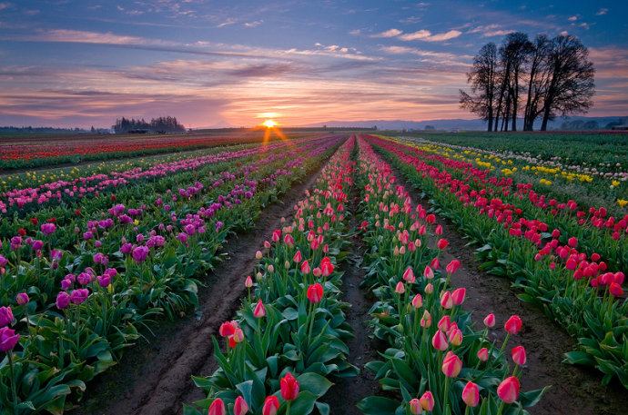 Attractive Landscape