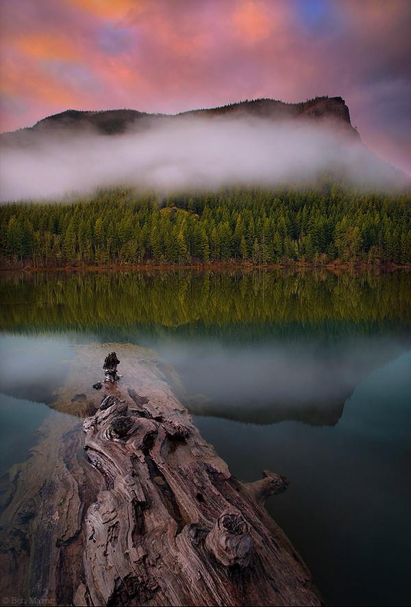Nature's Wonderland