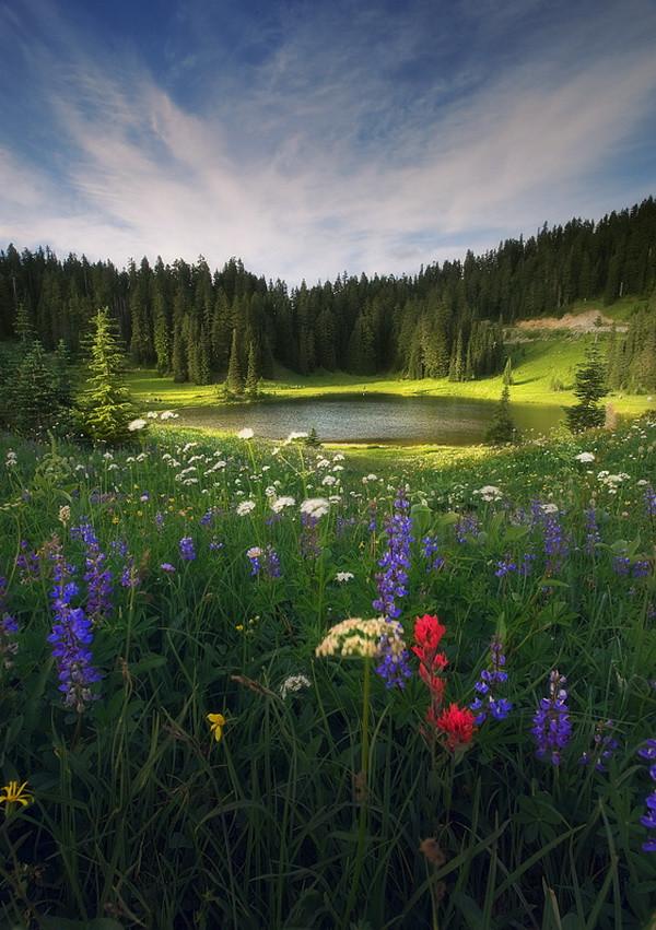 Nature's Wonderland