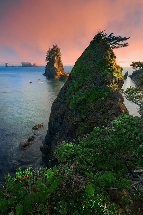 Nature's Wonderland