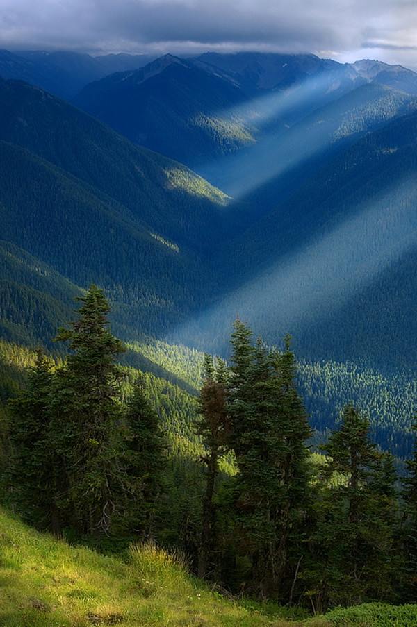 Nature's Wonderland