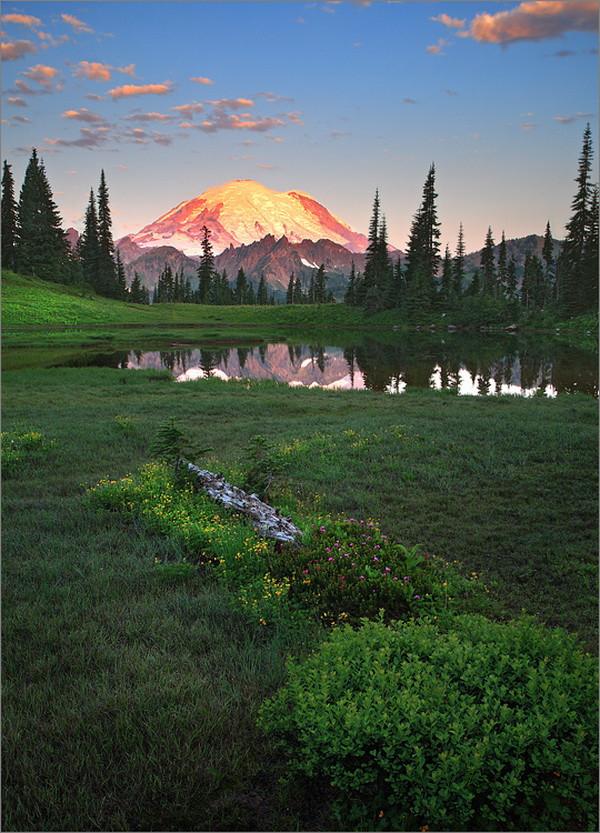 Nature's Wonderland