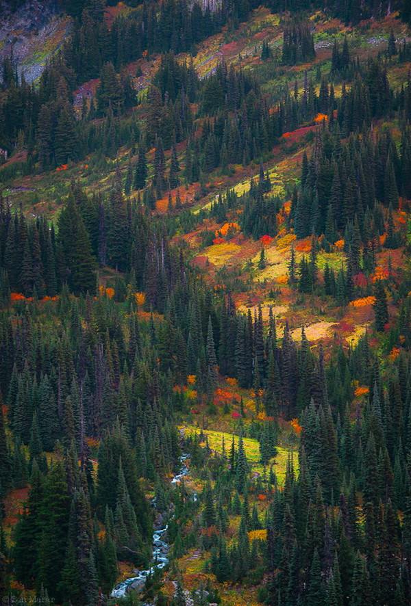 Nature's Wonderland