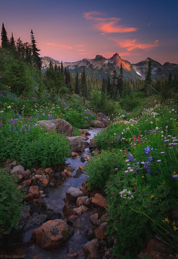 Nature's Wonderland